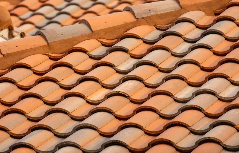 vegetative-roof Clay tile roof close-up